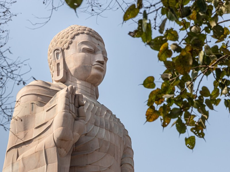 Giant Buddha of Wat Thai Temple – Sarnath, India 